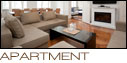 NYC Apt Building Renovations